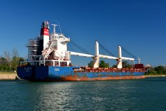 Thumbnail Image for SCL Anita