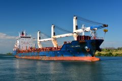 Thumbnail Image for SCL Anita