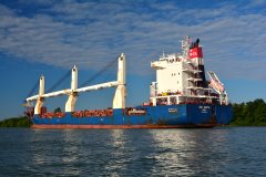 Thumbnail Image for SCL Anita