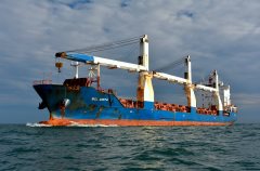 Thumbnail Image for SCL Anita