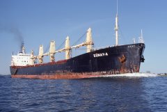 Thumbnail Image for Gunay A