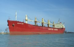 Thumbnail Image for Berta Dan