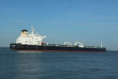 Thumbnail Image for Lyric Camellia oncontextmenu=