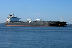 Thumbnail Image for Lyric Camellia oncontextmenu=