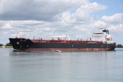 Thumbnail Image for BW Lynx