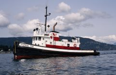 Thumbnail Image for Harmac Fir oncontextmenu=