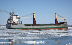 Thumbnail Image for Vectis Isle