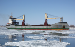 Thumbnail Image for Vectis Isle