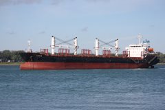 Thumbnail Image for Anthia oncontextmenu=