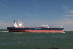 Thumbnail Image for Minerva Atlantica