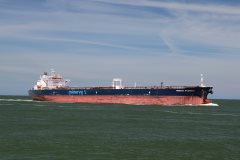 Thumbnail Image for Minerva Atlantica