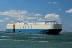 Thumbnail Image for Morning Lily oncontextmenu=