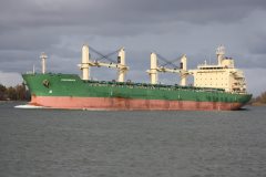 Thumbnail Image for Canvasback oncontextmenu=