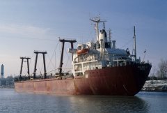 Thumbnail Image for Golden D oncontextmenu=