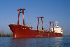 Thumbnail Image for Golden D oncontextmenu=