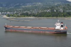 Thumbnail Image for CSK Unity oncontextmenu=