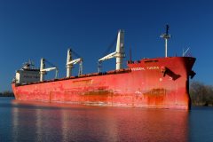 Thumbnail Image for Federal Yukina oncontextmenu=