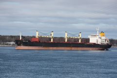 Thumbnail Image for Orient Tide