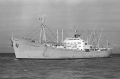 Thumbnail Image for Hosanger