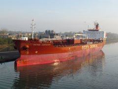 Thumbnail Image for Sichem Contester