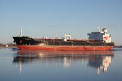 Thumbnail Image for Northern Light