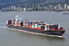 Thumbnail Image for JPO Volans