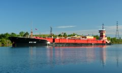 Thumbnail Image for Dylan Cooper