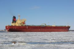 Thumbnail Image for Polar Cod