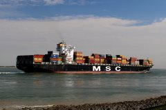 Thumbnail Image for MSC Tomoko