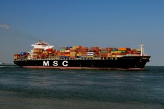 Thumbnail Image for MSC Tomoko