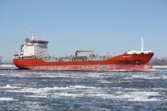 Thumbnail Image for Swan Baltic