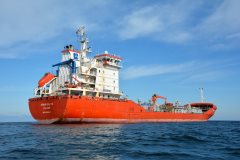 Thumbnail Image for Swan Baltic