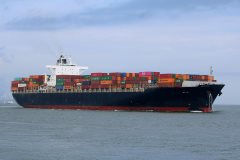 Thumbnail Image for My Ny