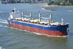 Thumbnail Image for Star Artemis