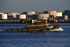 Thumbnail Image for Margaret Moran