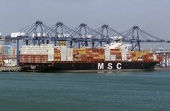 Thumbnail Image for MSC Avni