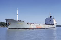 Thumbnail Image for Anaris