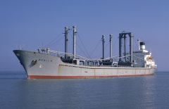 Thumbnail Image for Aliki I.P.