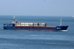 Thumbnail Image for Nestor