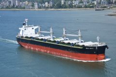 Thumbnail Image for Bulk Venus