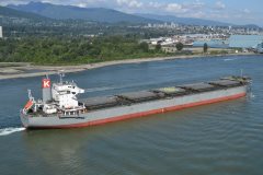 Thumbnail Image for Corona Royal