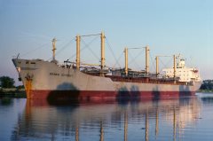 Thumbnail Image for Irenes Odyssey