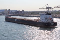 Thumbnail Image for G3 Marquis