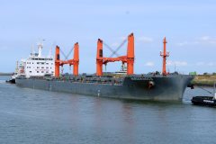 Thumbnail Image for Nordorinoco