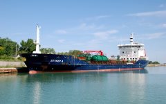 Thumbnail Image for Zeynep A