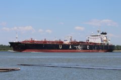 Thumbnail Image for UACC Manama