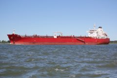 Thumbnail Image for Zoilo