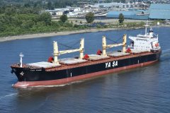 Thumbnail Image for Yasa Pembe