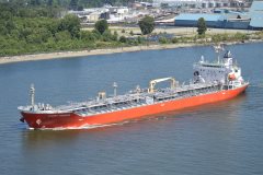 Thumbnail Image for Argent Hibiscus oncontextmenu=