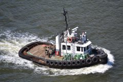 Thumbnail Image for Pacific Tyee oncontextmenu=